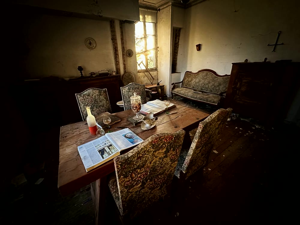 Abandoned chateau room used to show the kind of historical interiors UrbexScanner investigates.